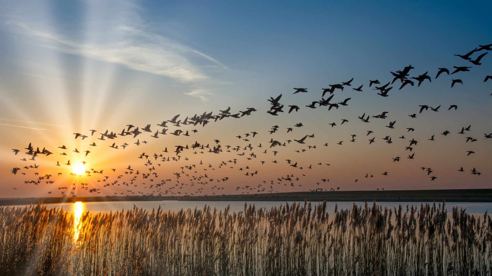 Wadden Sea National Park