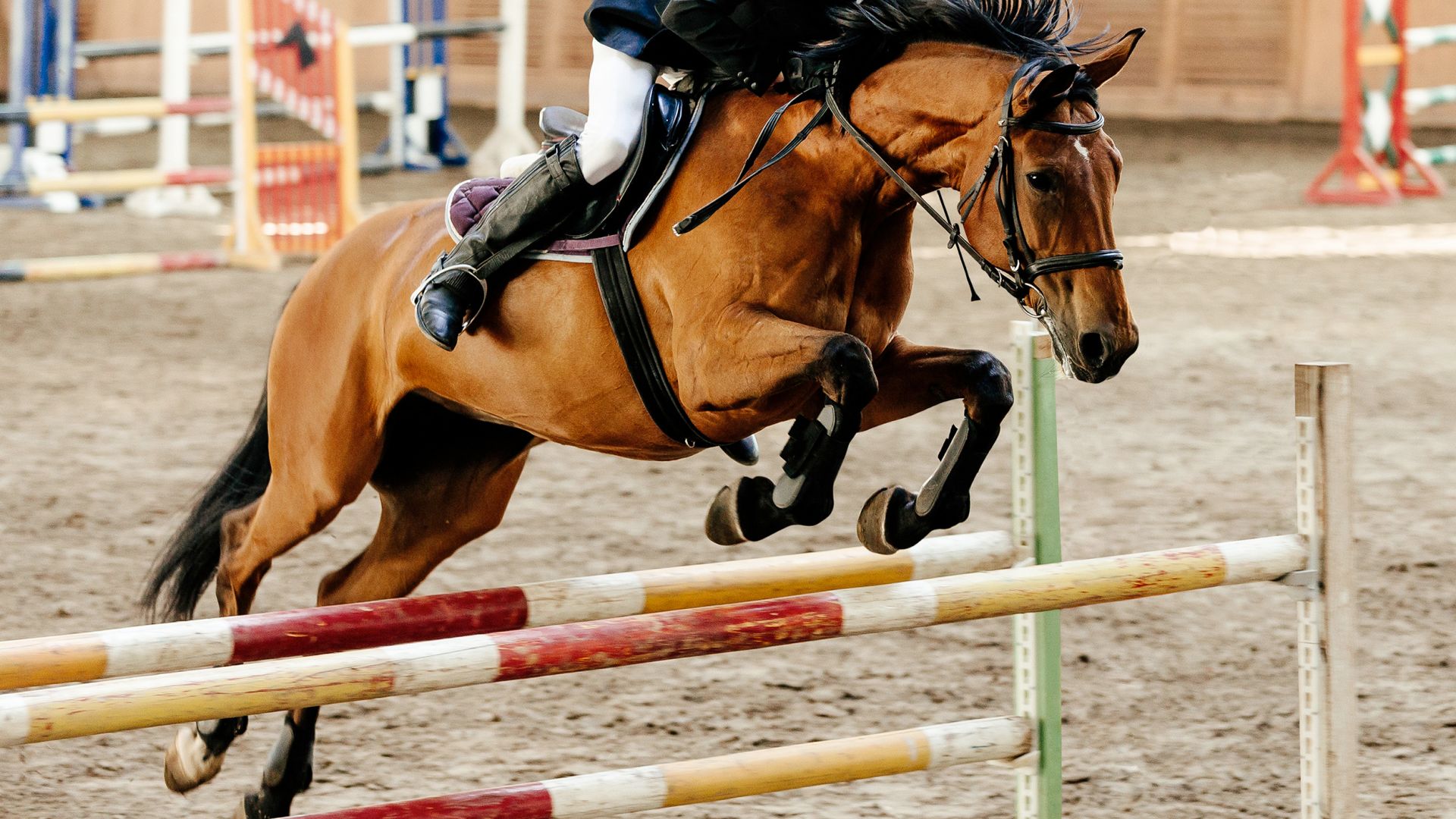Rider on a horse jumping over an obstacle