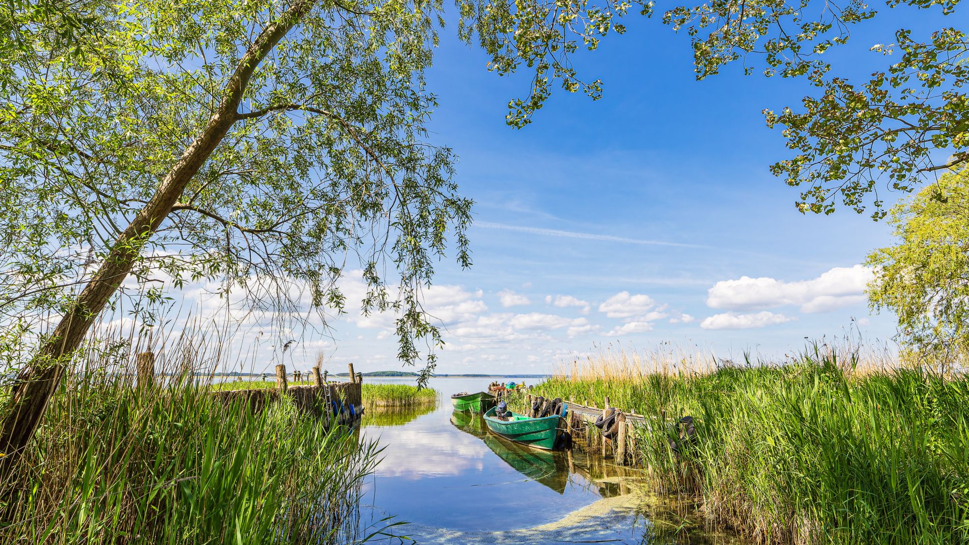 A green fishing boat lies on a small wooden jetty in the reeds on the Achterwasser near Warthe on Usedom, surrounded by trees and under a blue sky