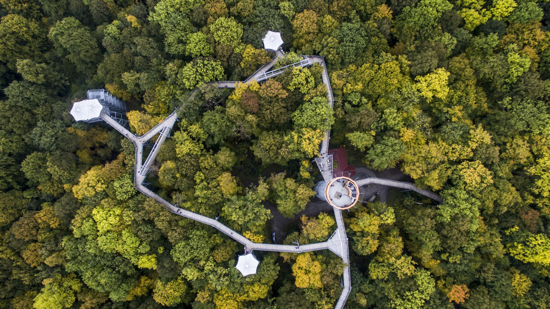 Schönstedt: Baumkronenpfad im Nationalpark Hainich