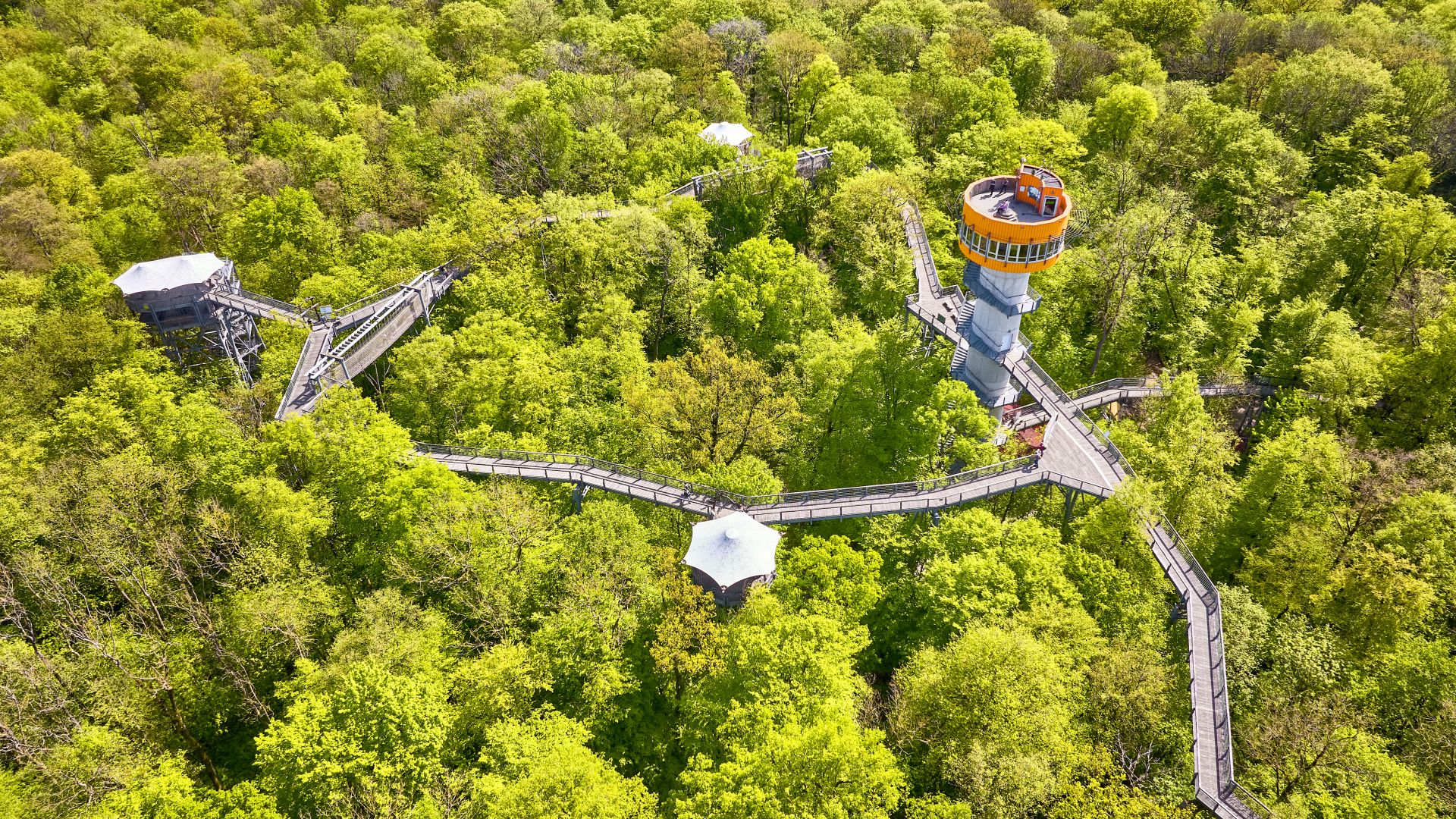 Aerial view of the treetop path, which winds through a dense, green forest, with a striking viewing tower at the end.