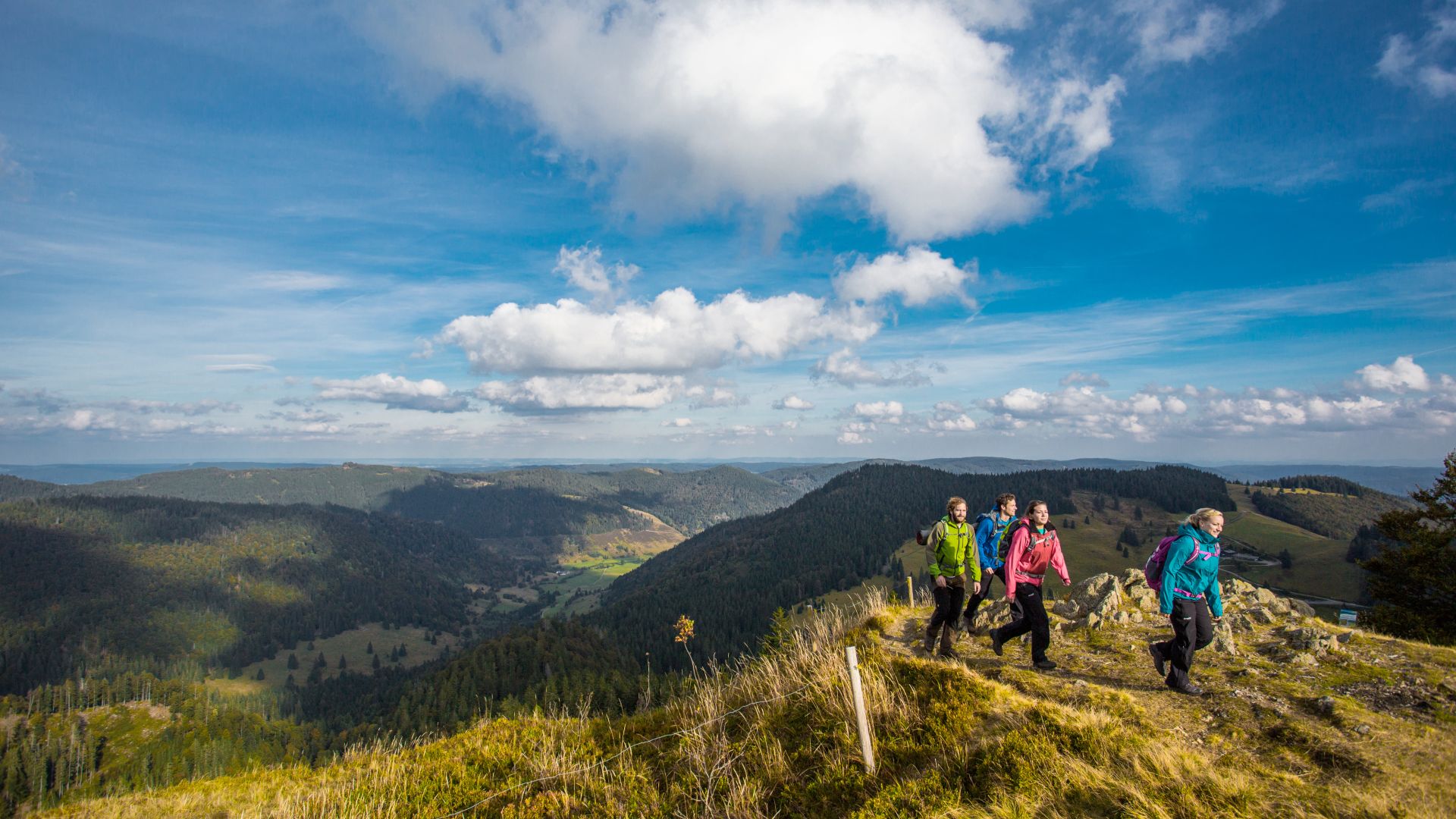 Eine Gruppe von Wanderern geht entlang des Herzogenhorns in Bernau im Schwarzwald