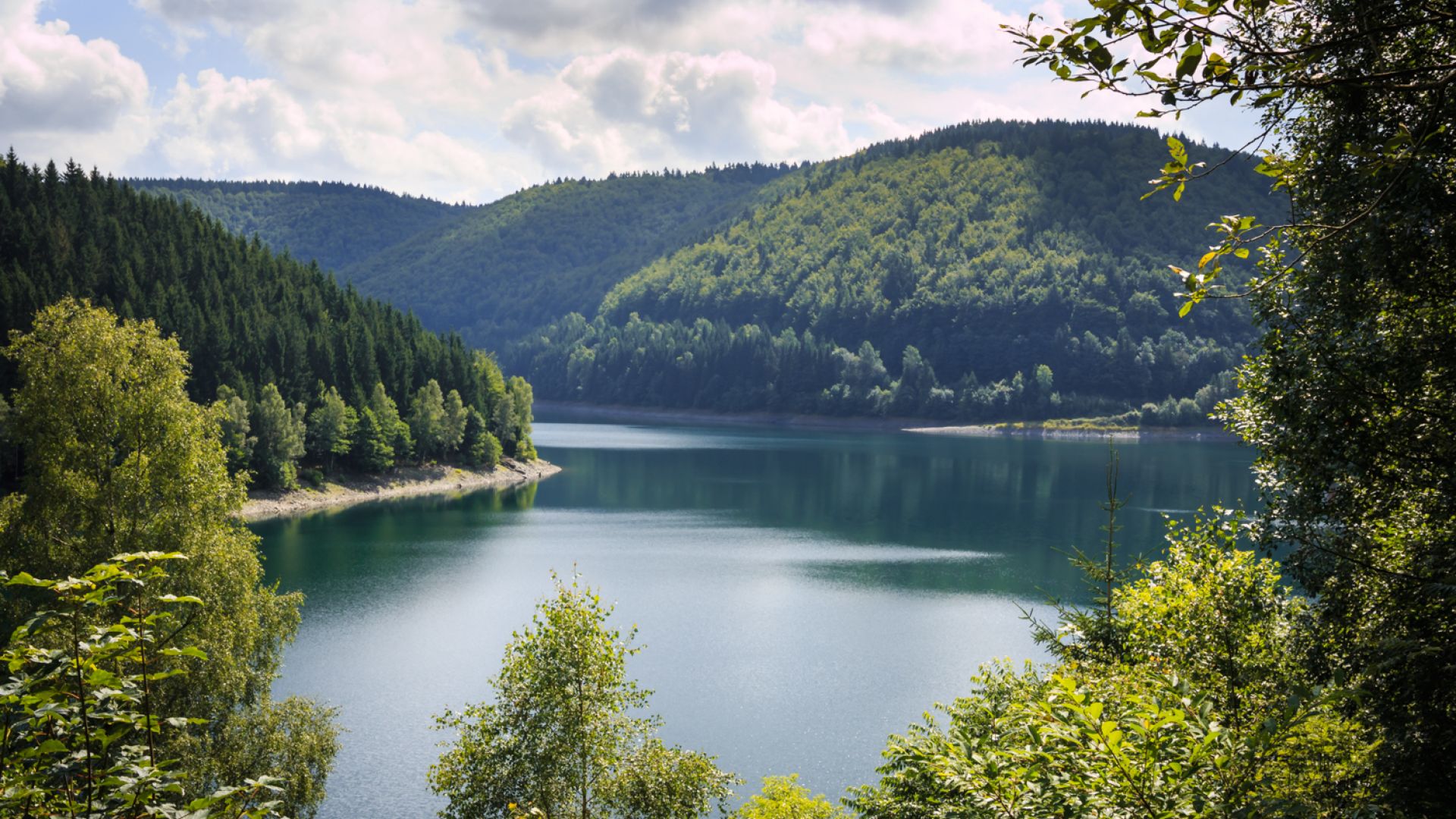 Panoramic view of the Schönbrunn dam, a reservoir surrounded by wooded hills in Schleusengrund