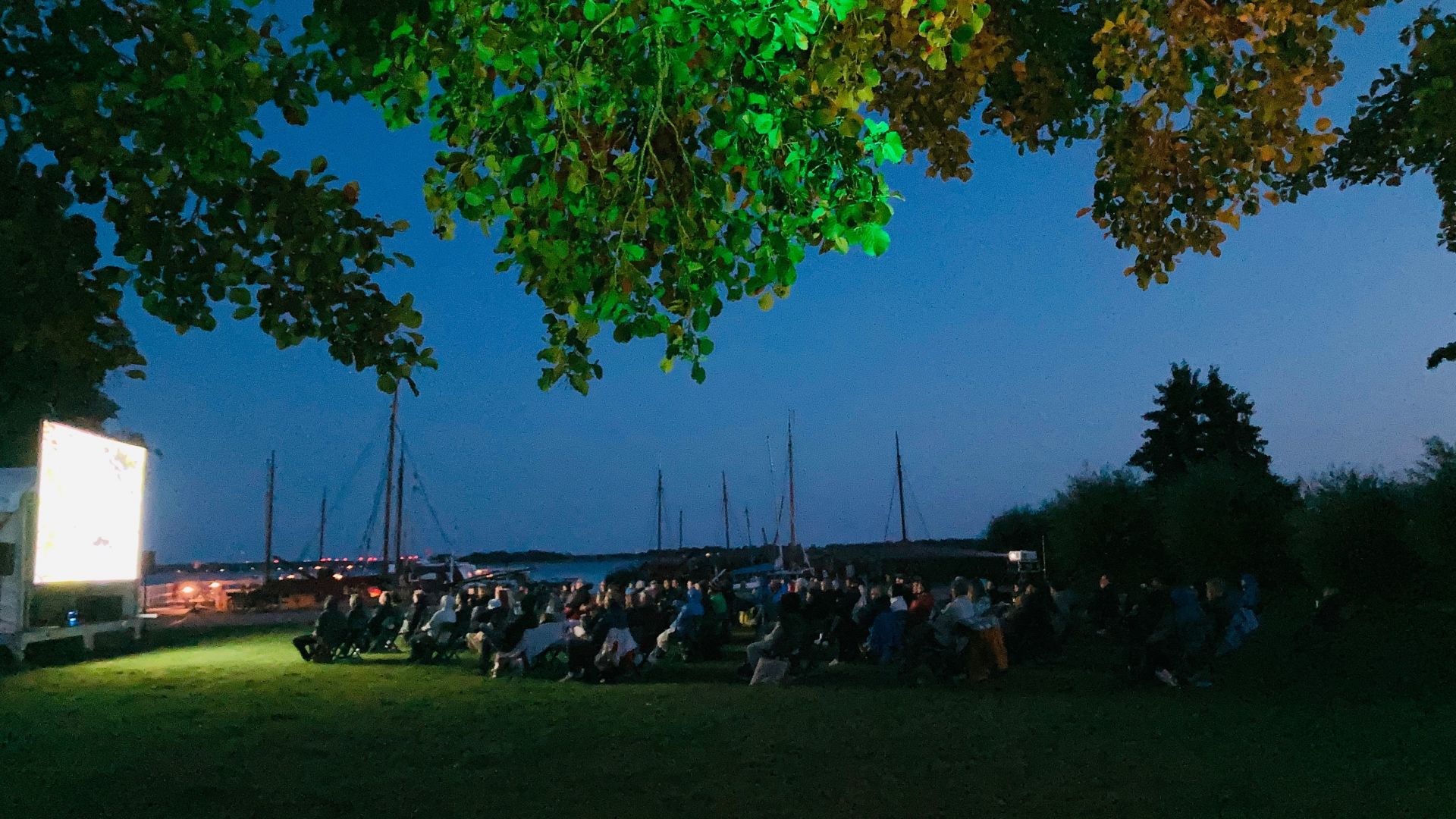 Publikum sitzt auf Stühlen und Decken auf einer Wiese am Wasser und schauen einen Film auf einer großen Leinwand, während im Hintergrund Boote im Hafen liegen und es langsam dunkel wird