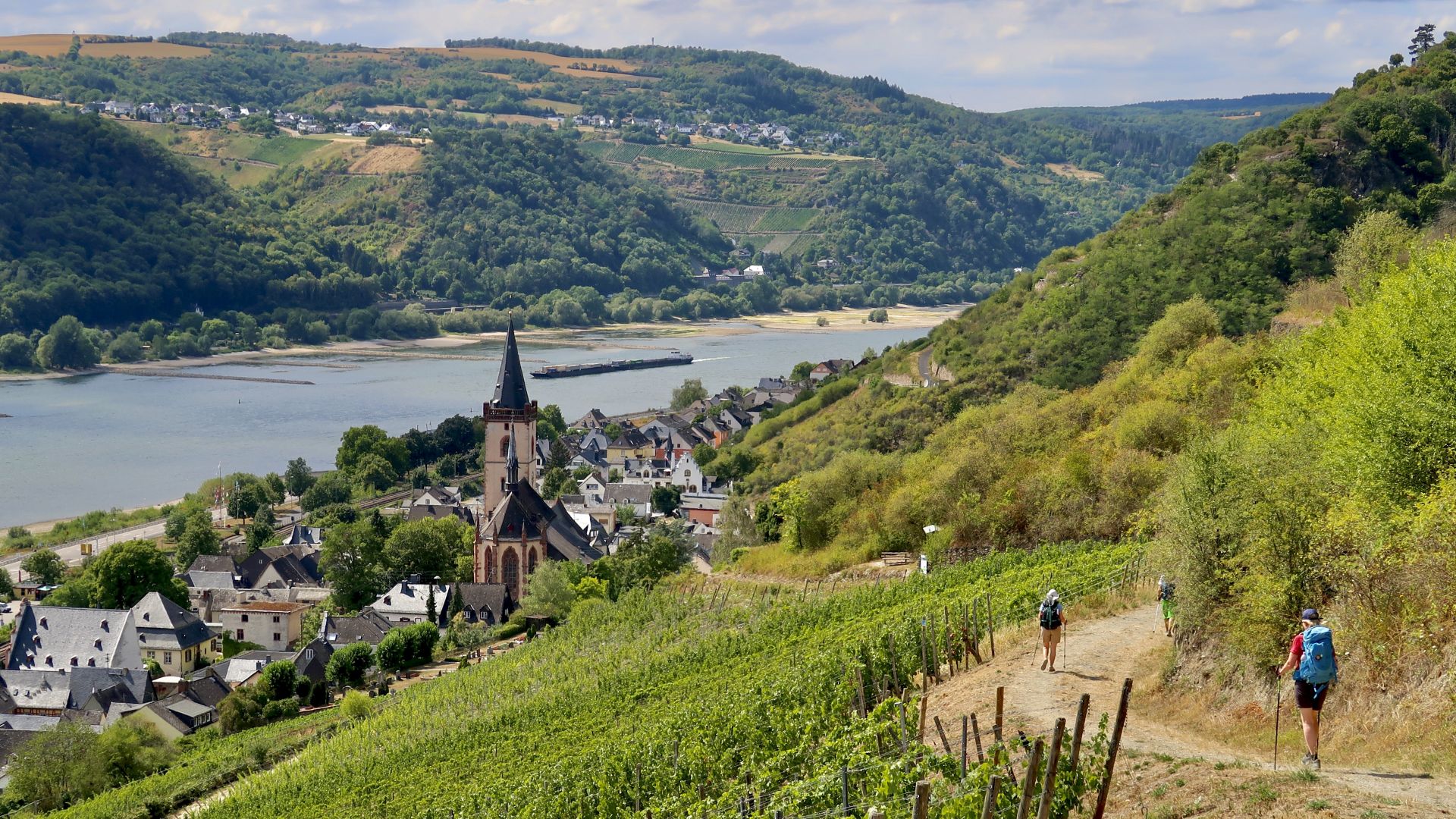 Lorch: Wanderweg mit Blick auf den Rhein