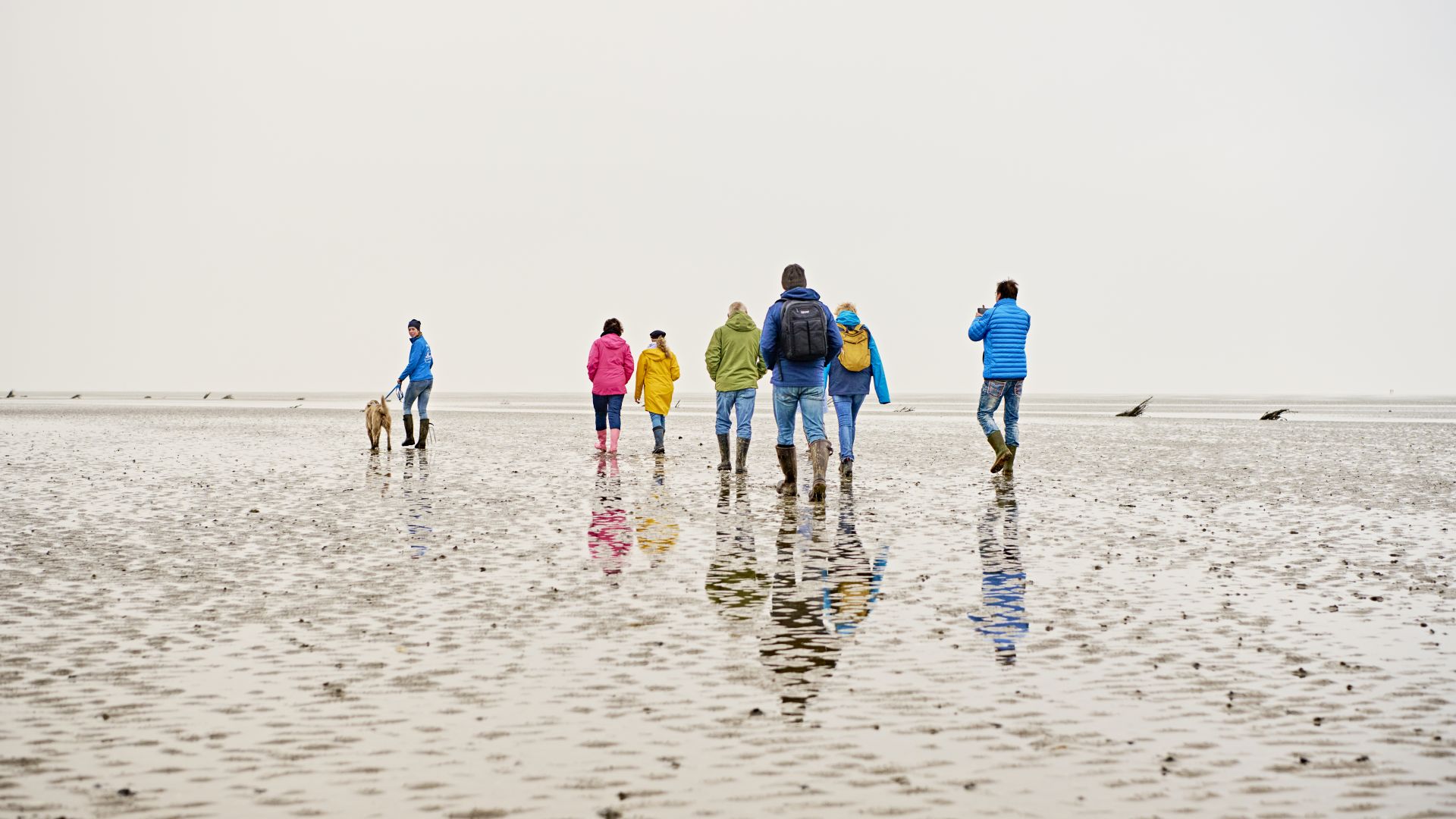 Otterndorf : guide des Wadden avec un groupe lors d'une promenade dans les Wadden