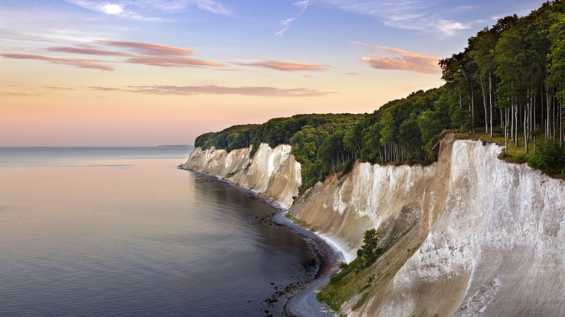 Eine Küstenlandschaft mit weißen Kreidefelsen entlang der Küstenlinie der Ostsee in Rügen und einem dichten Buchenwald im Nationalpark Jasmund darüber.