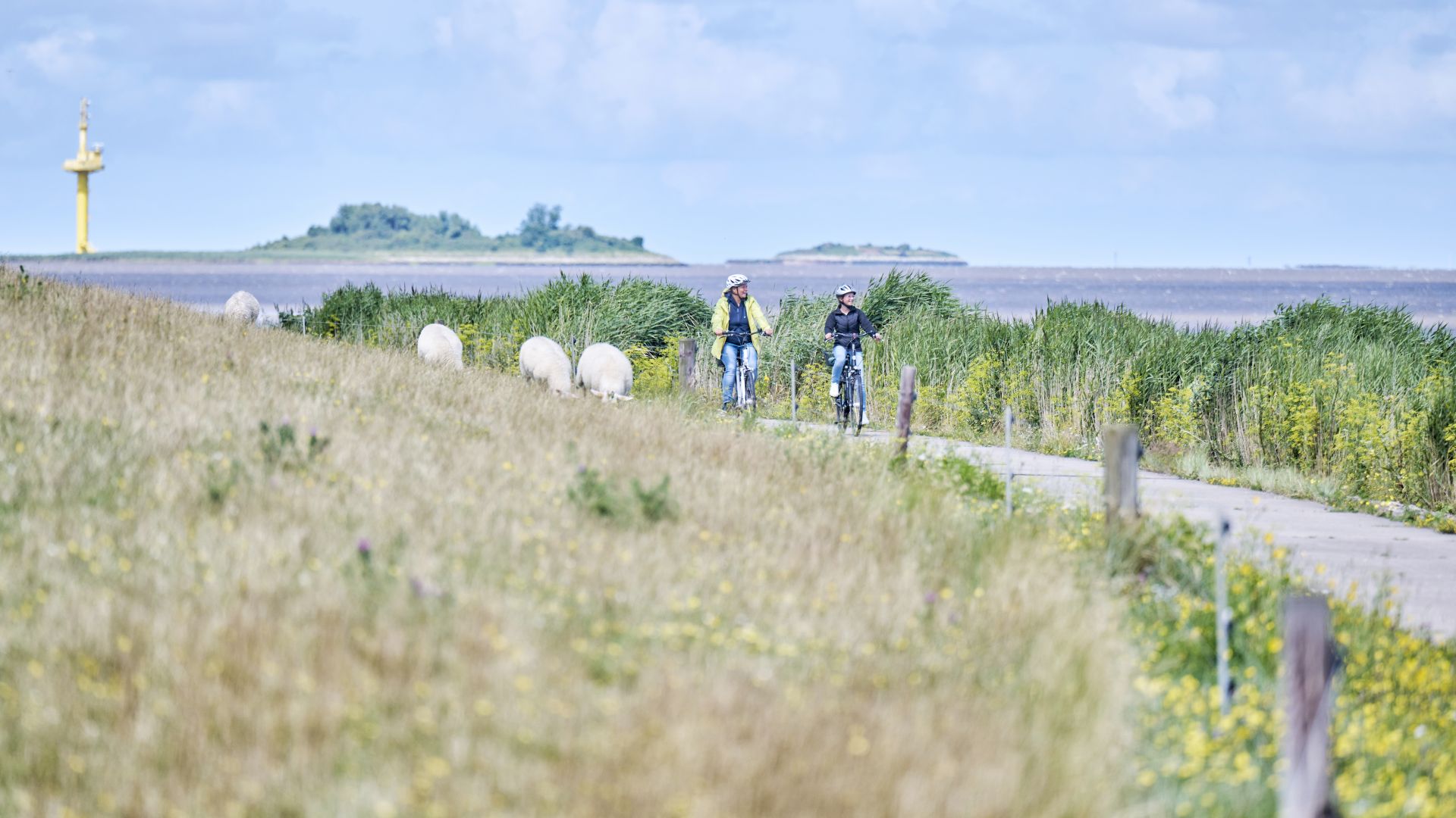 Nordenham: Cyclist in front of Langlütjen