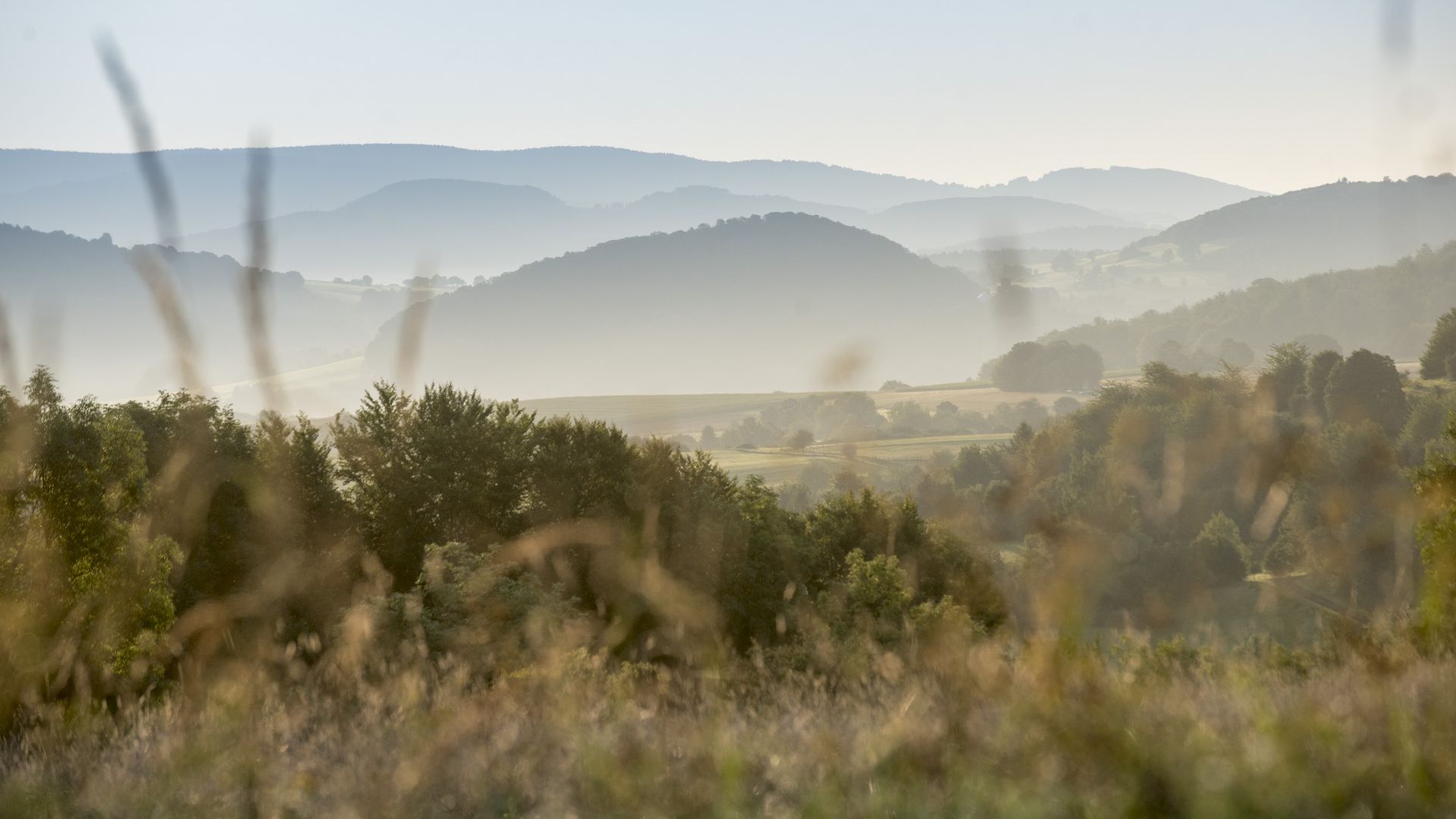 View across the meadow to the Spessart mountains