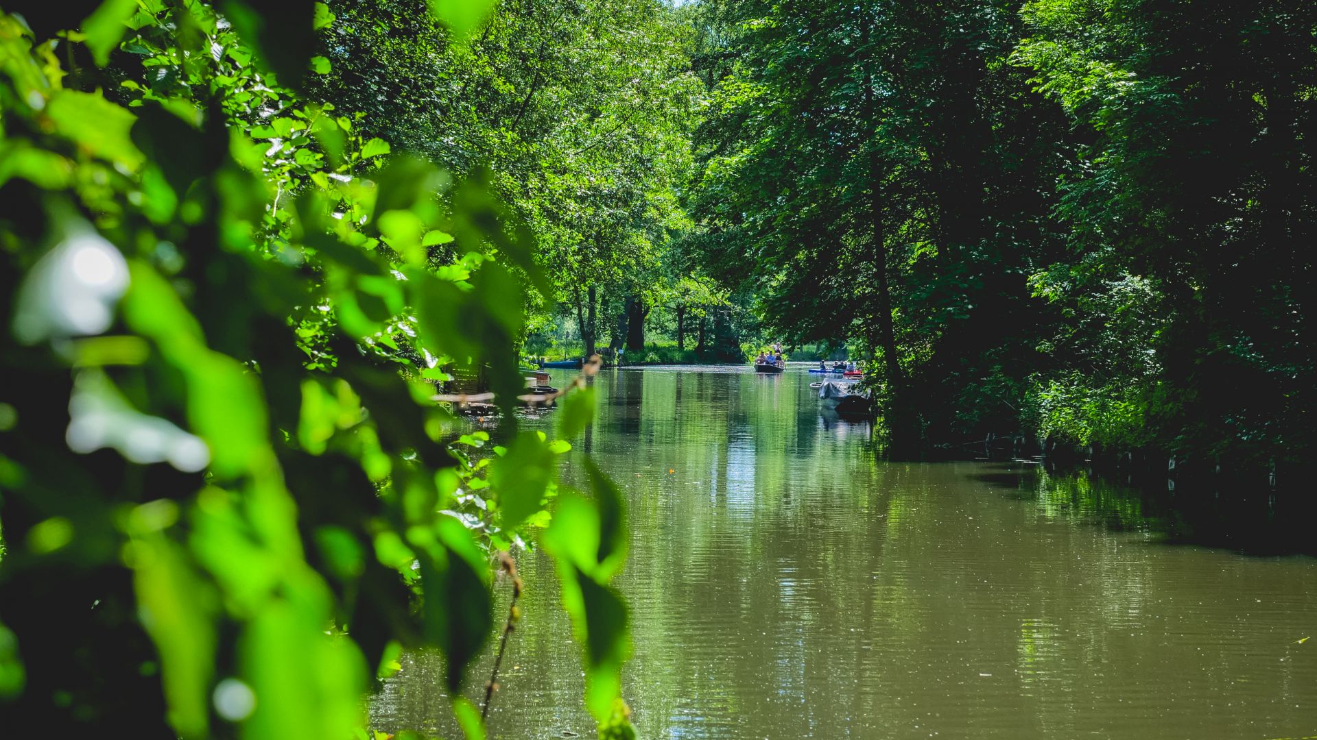 Lübbenau: Vue d'un canal fréquenté