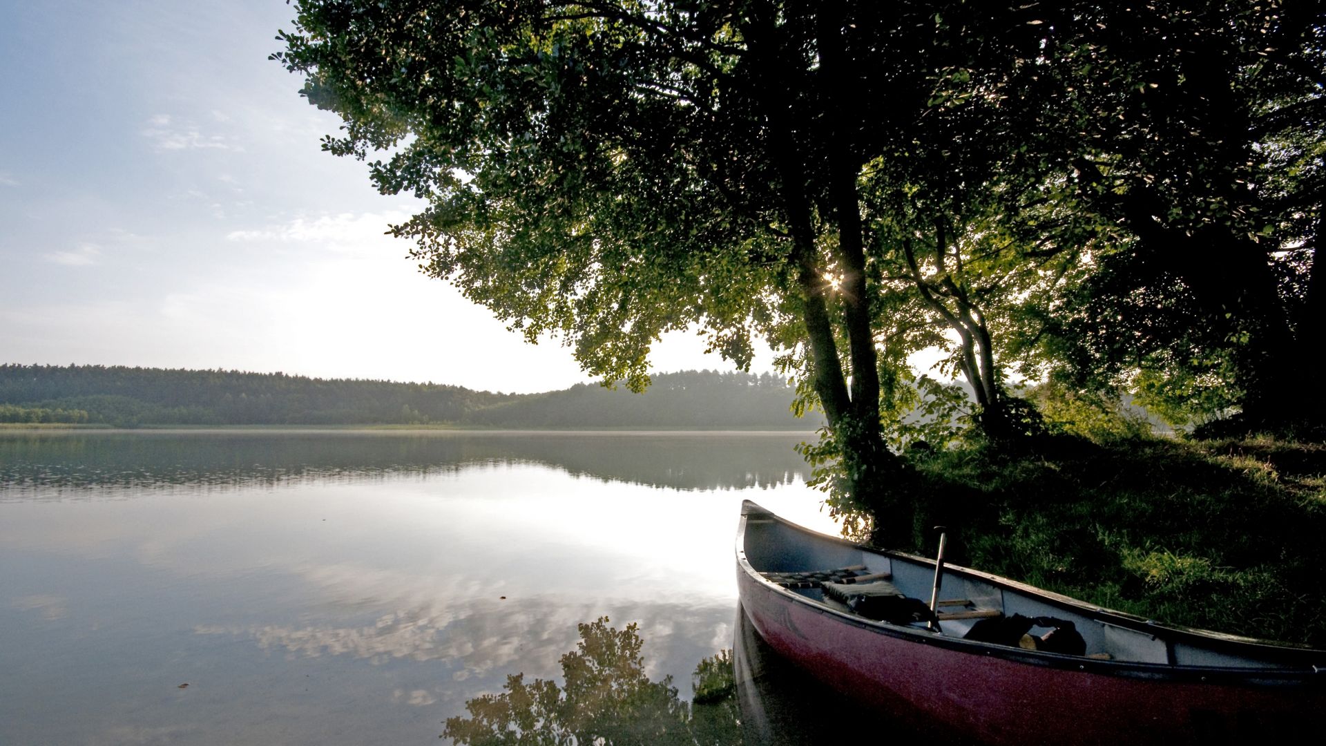 Brandenburg: park naturel Uckermärkische Seen; Naturhighlight 2016