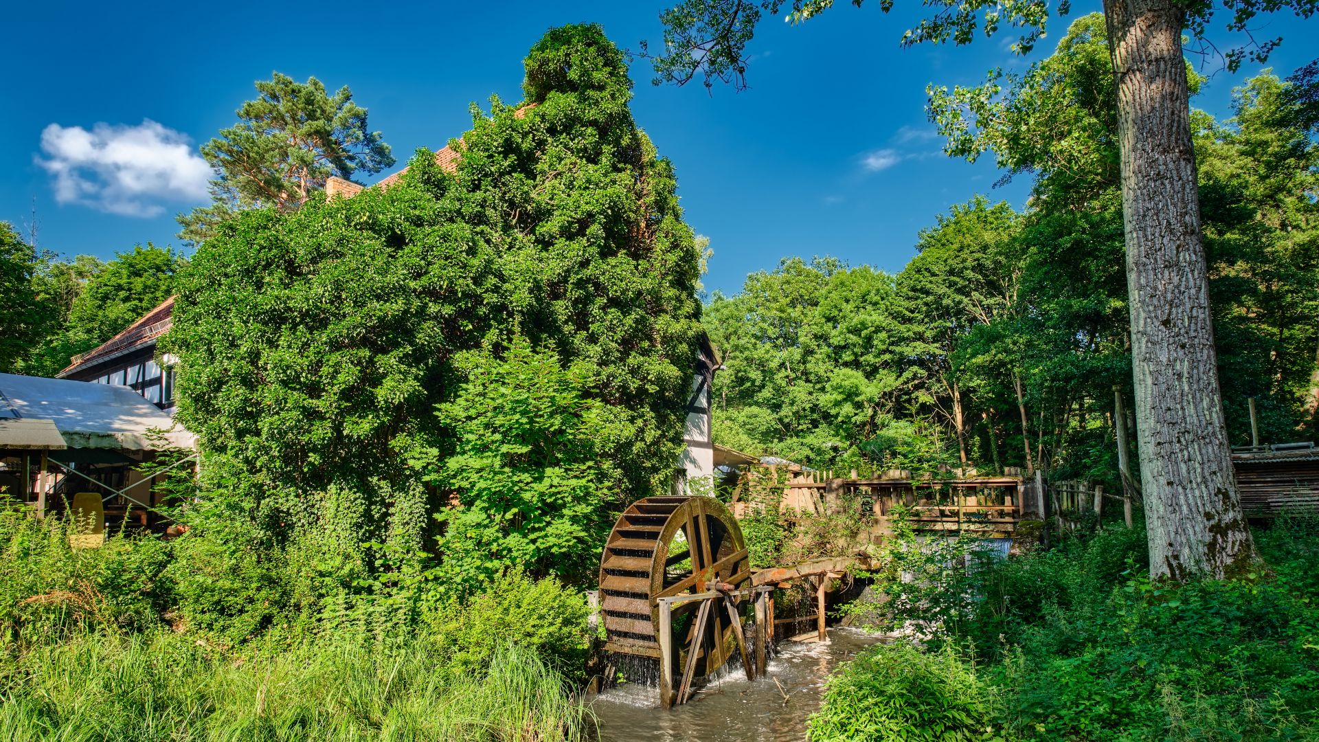 Eisenhüttenstadt: Bremsdorf mill with water wheel in Brandenburg`s Schlaubetal Nature Park