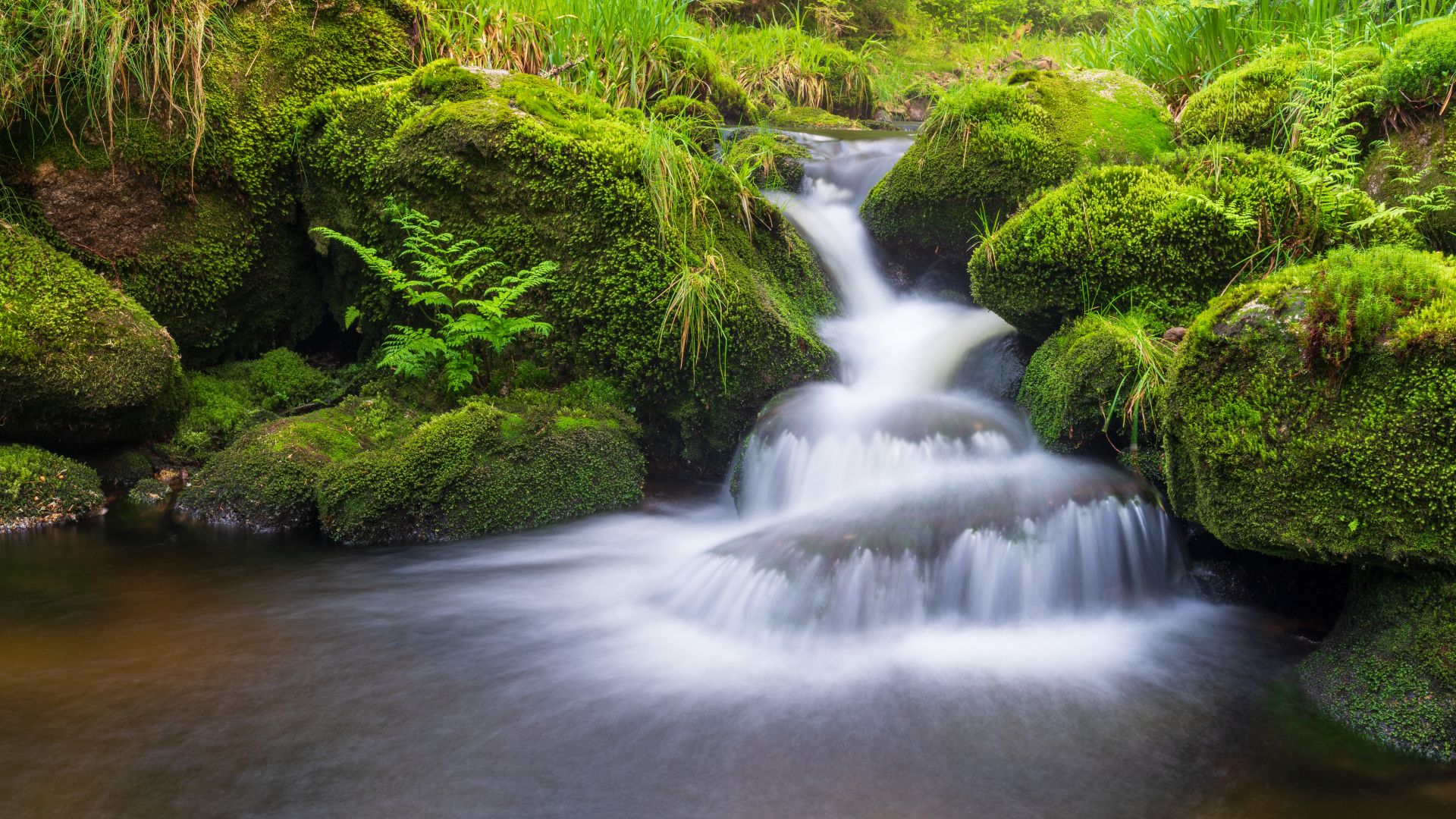 Région Nord de la Forêt-Noire : Petite chute d`eau