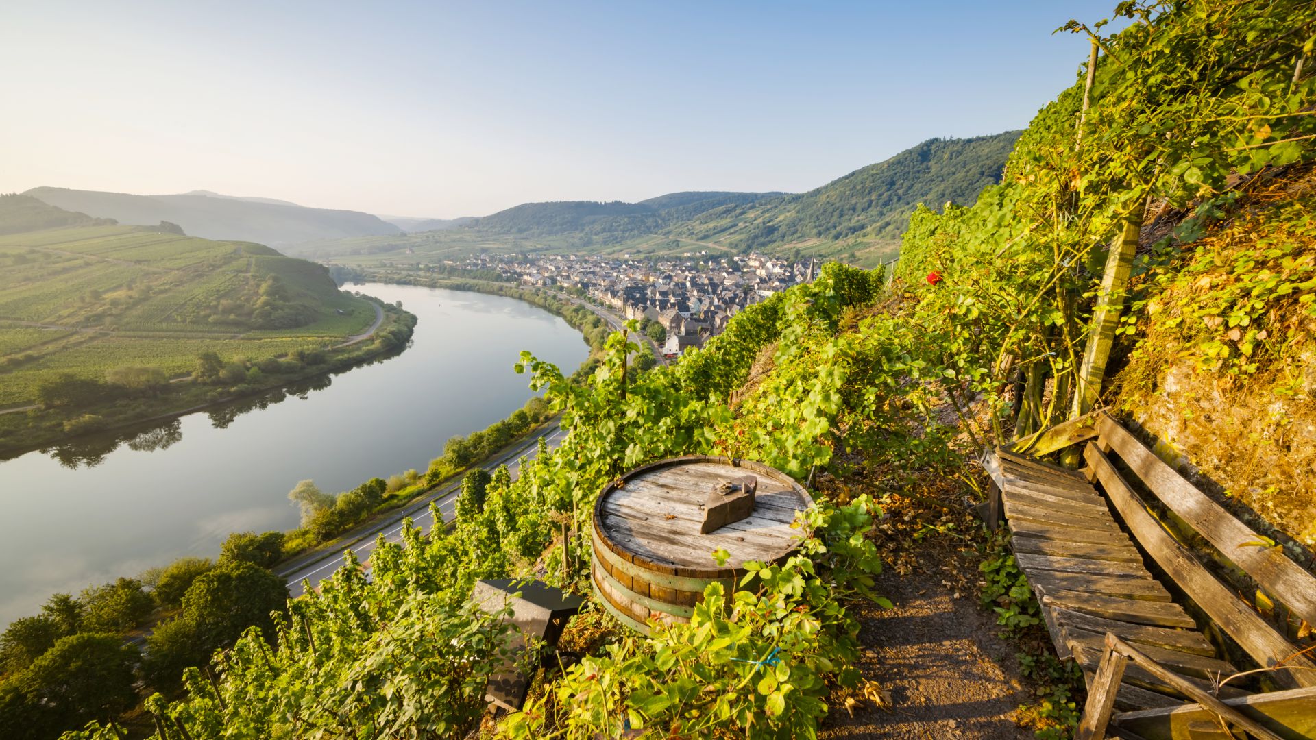 Bremm:The Calmont, Europe's steepest vineyard, view over the Moselle at dusk