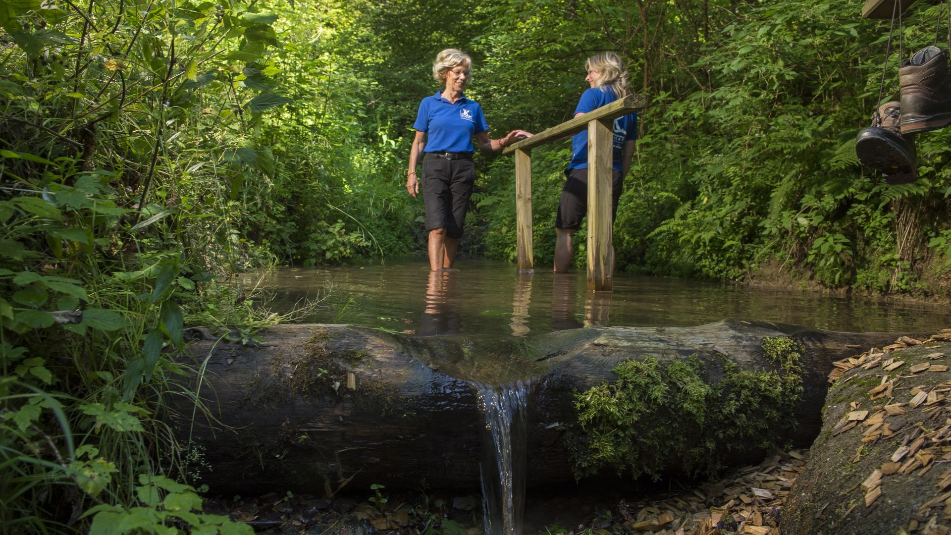 Olsberg: Women tread water at the Papendiek step on the Olsberg Kneipp hiking trail