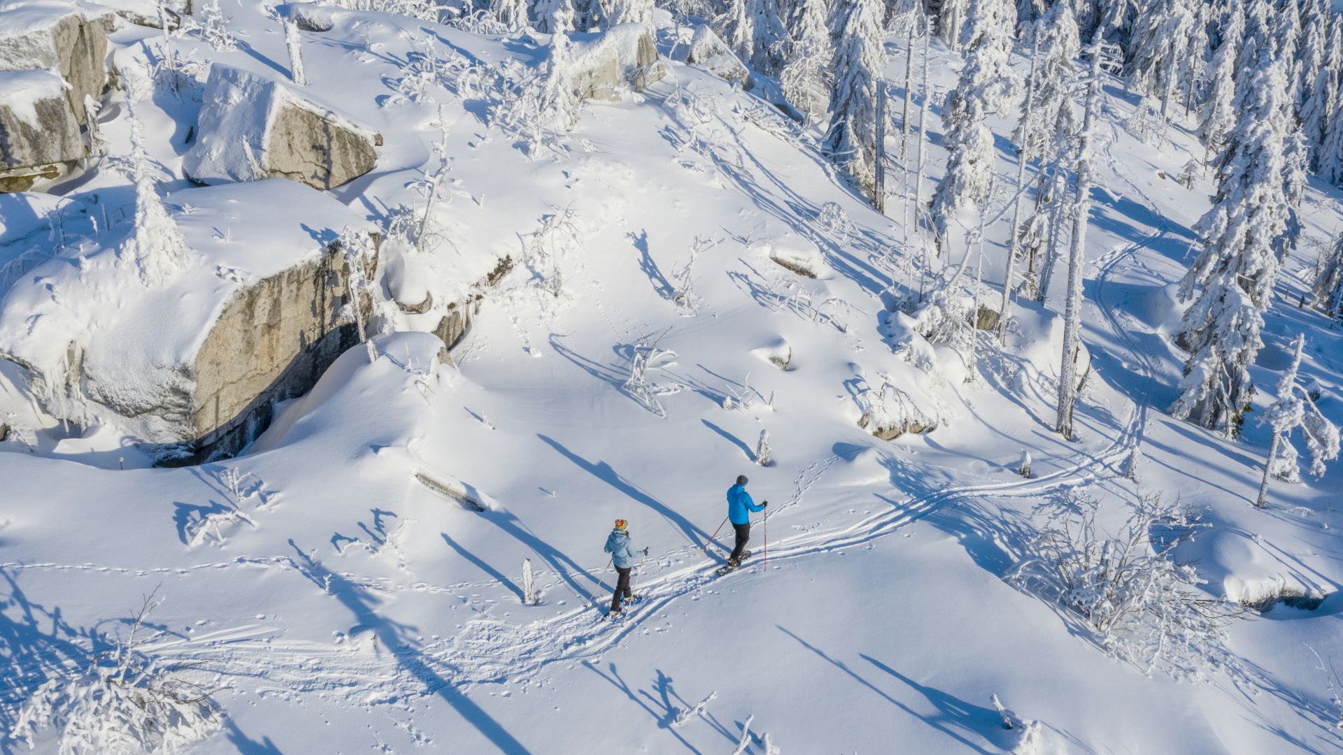 Fichtelberg: randonnée hivernale dans le parc naturel de Fichtelgebirge