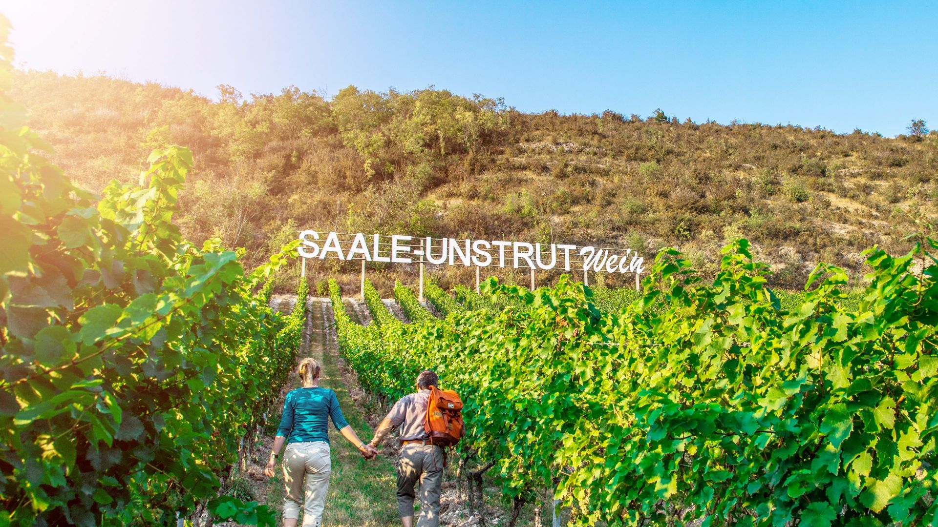 Naumburg: Couple hiking in the vineyards of Saale-Unstrut