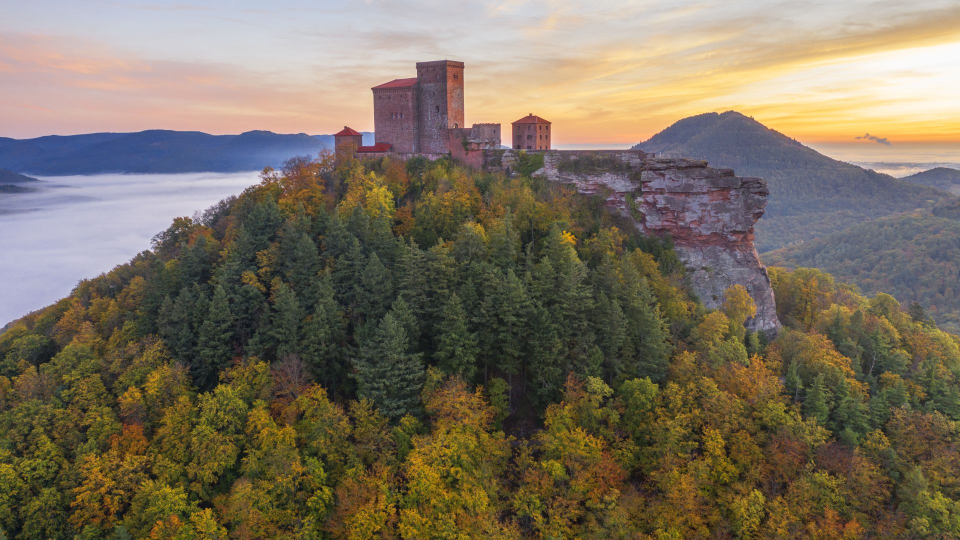 Luftaufnahme der Burg Trifels im Herbst bei Sonnenaufgang. Die Burg liegt auf einem Felsvorsprung, umgeben von den bunten Bäumen des Pfälzerwaldes. Der Himmel zeigt eine Mischung aus blauen und orangefarbenen Tönen. Im Hintergrund sind Berge zu sehen, und links im Tal liegt Nebel. Die Landschaft vermittelt einen Eindruck von der Höhe und der Weite des Waldes.