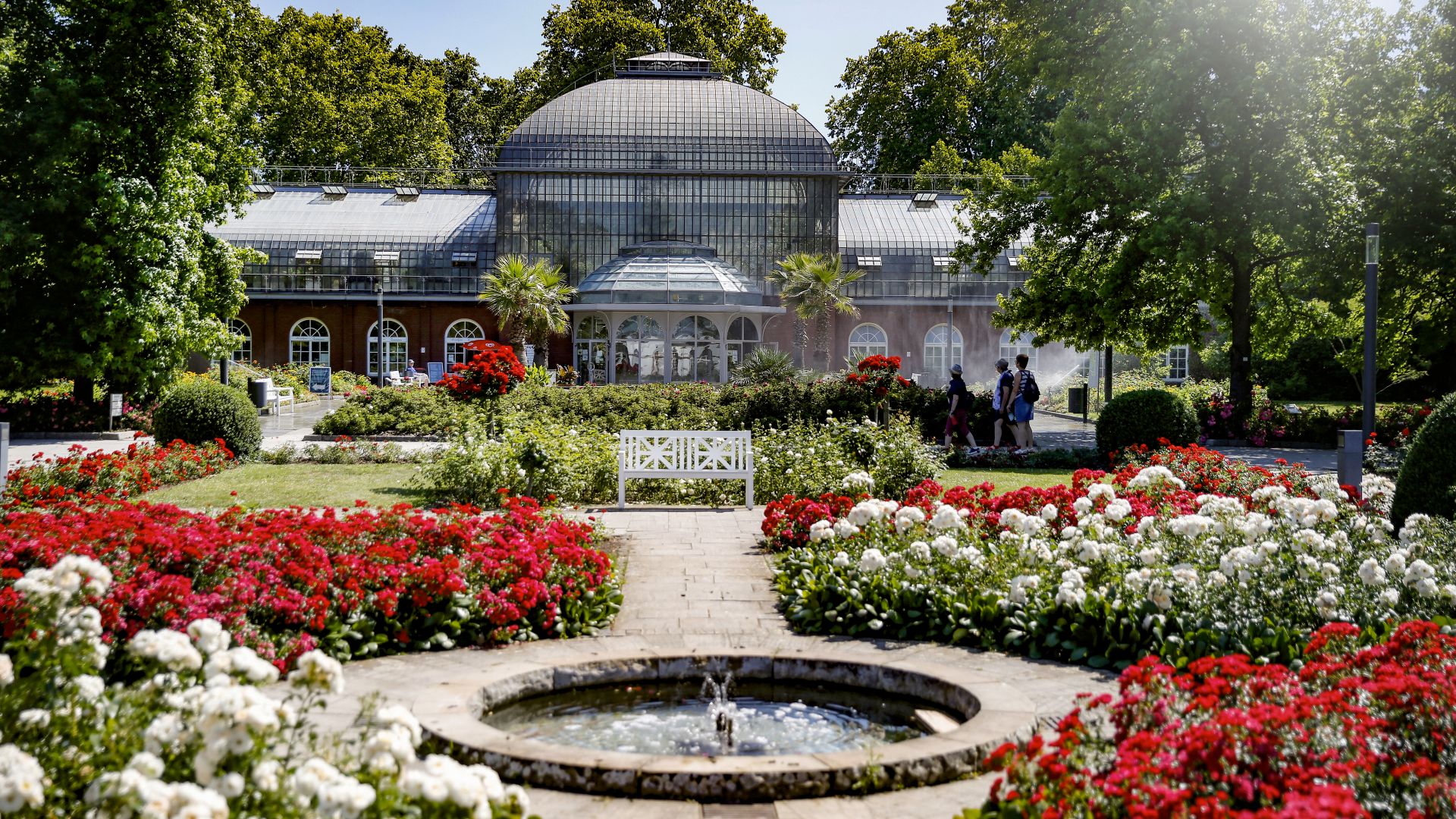 Frankfurt/Main: Palmengarten