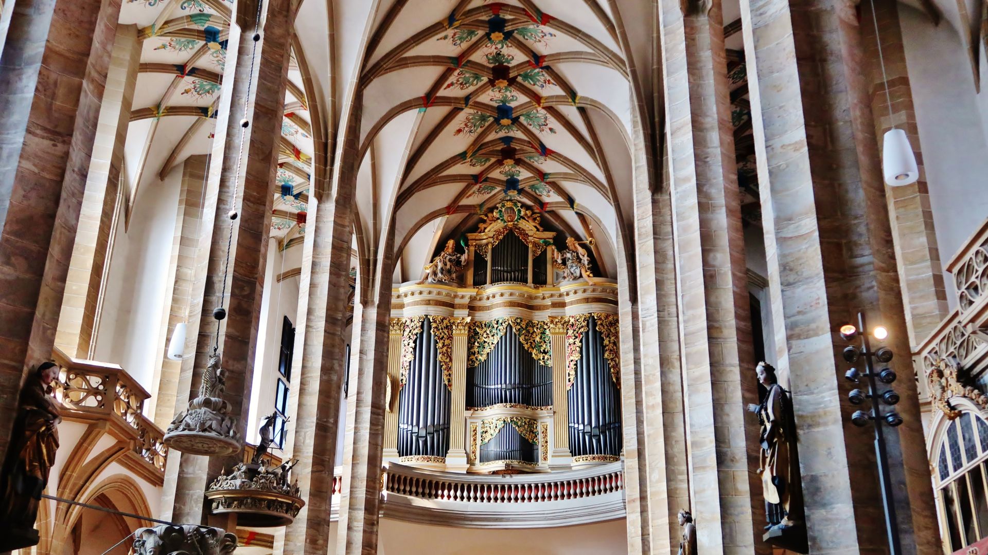 Interior view of St. Mary’s Cathedral, featuring Gothic ribbed vaults and a large, richly decorated organ on a gallery. The ceiling is adorned with colorful foliage and floral motifs. Several wooden sculptures can be seen along the columns inside the church.