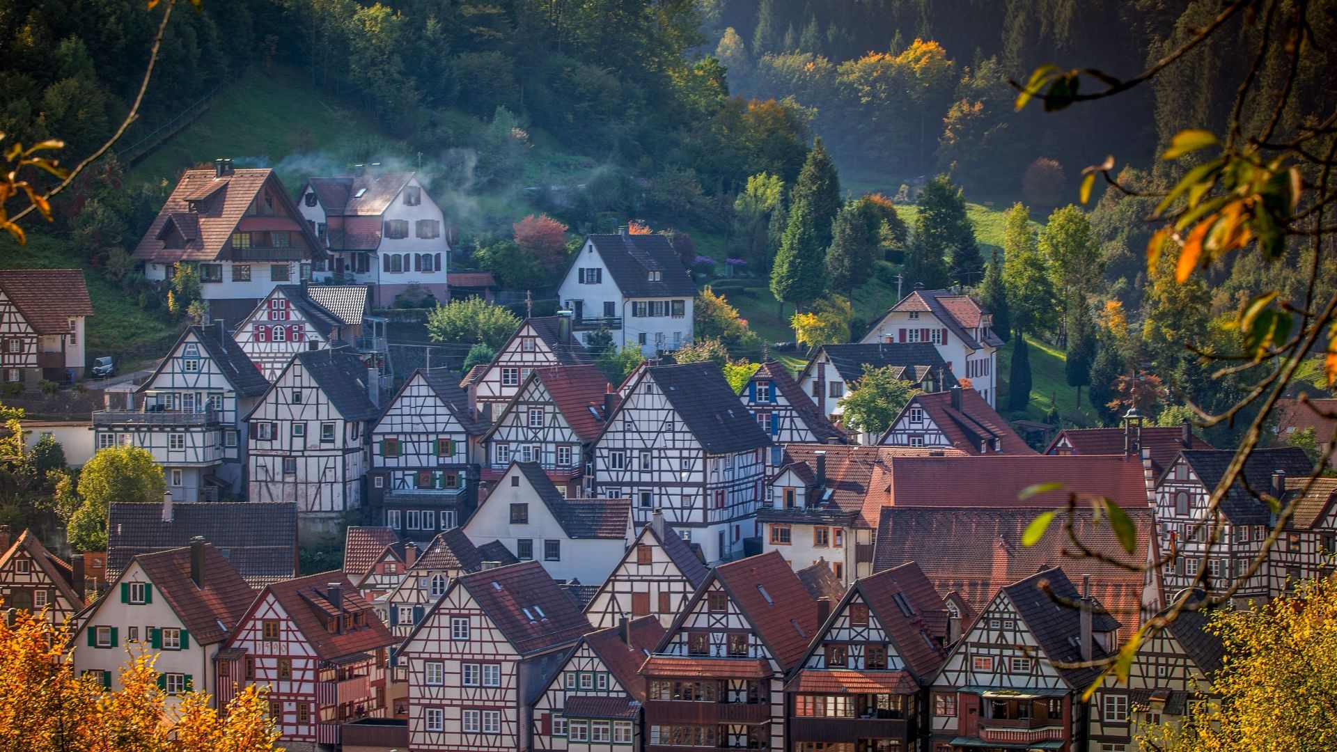 Viele Fachwerkhäuser mit roten Ziegeldächern stehen beieinander. Grüne Hügel mit Bäumen umgeben die Stadt Schiltach.