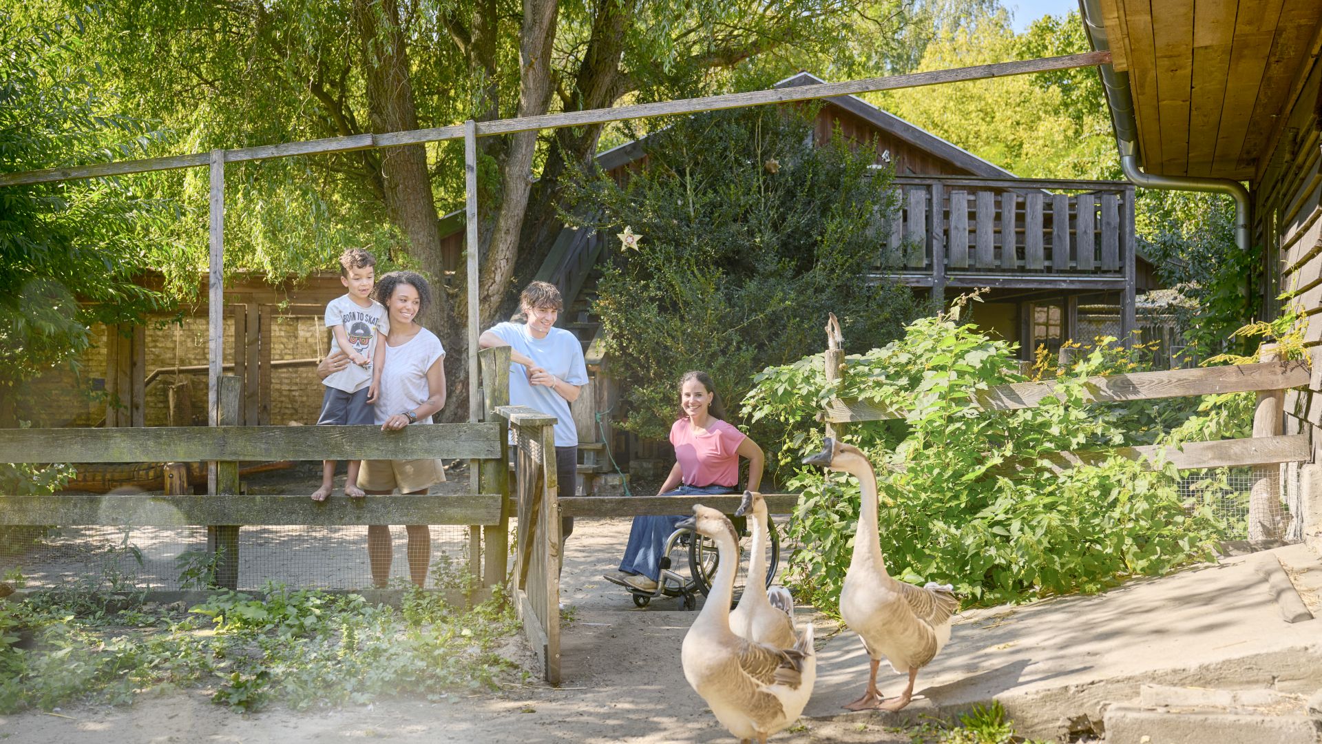 Familie mit Kind und Rollstuhlfahrerin beobachtet Gänse auf einem Kinderbauernhof bei Berlin