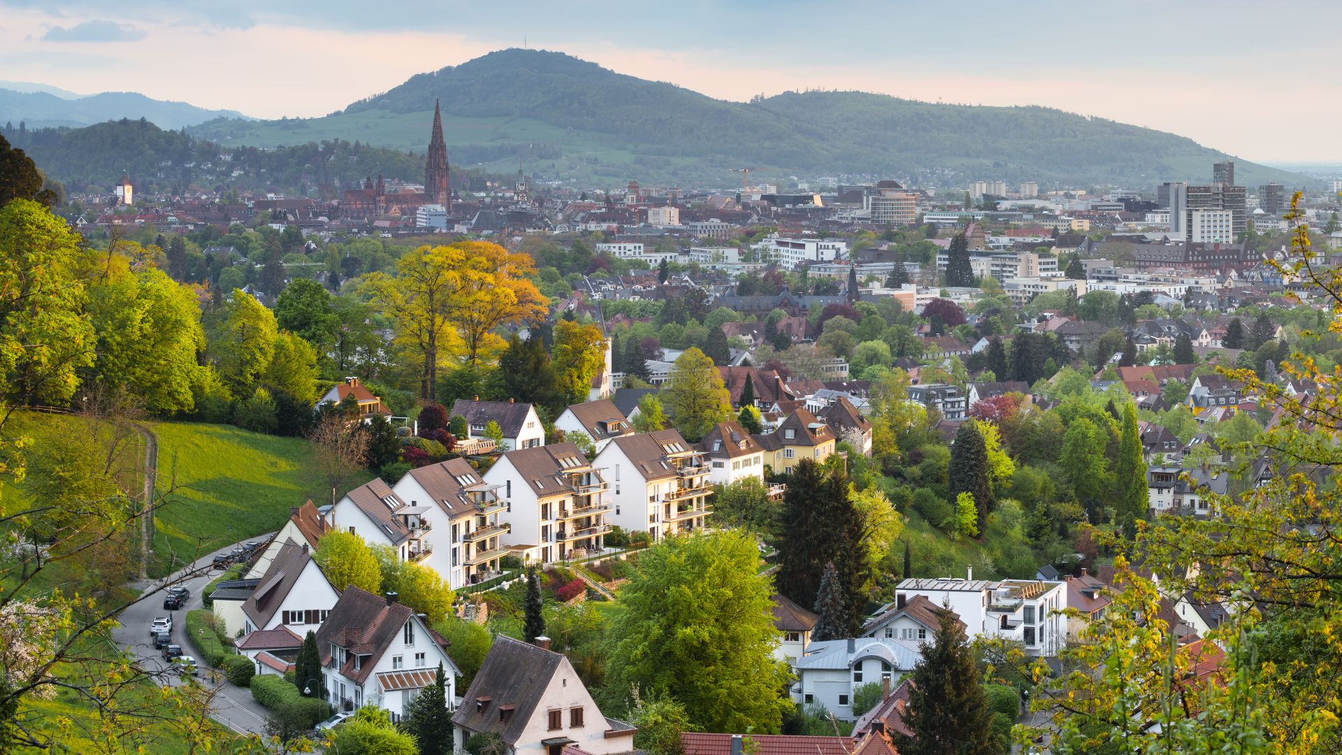 Blick auf Freiburg im Breisgau mit grünen Hügeln und Münster im Licht des Sonnenuntergangs