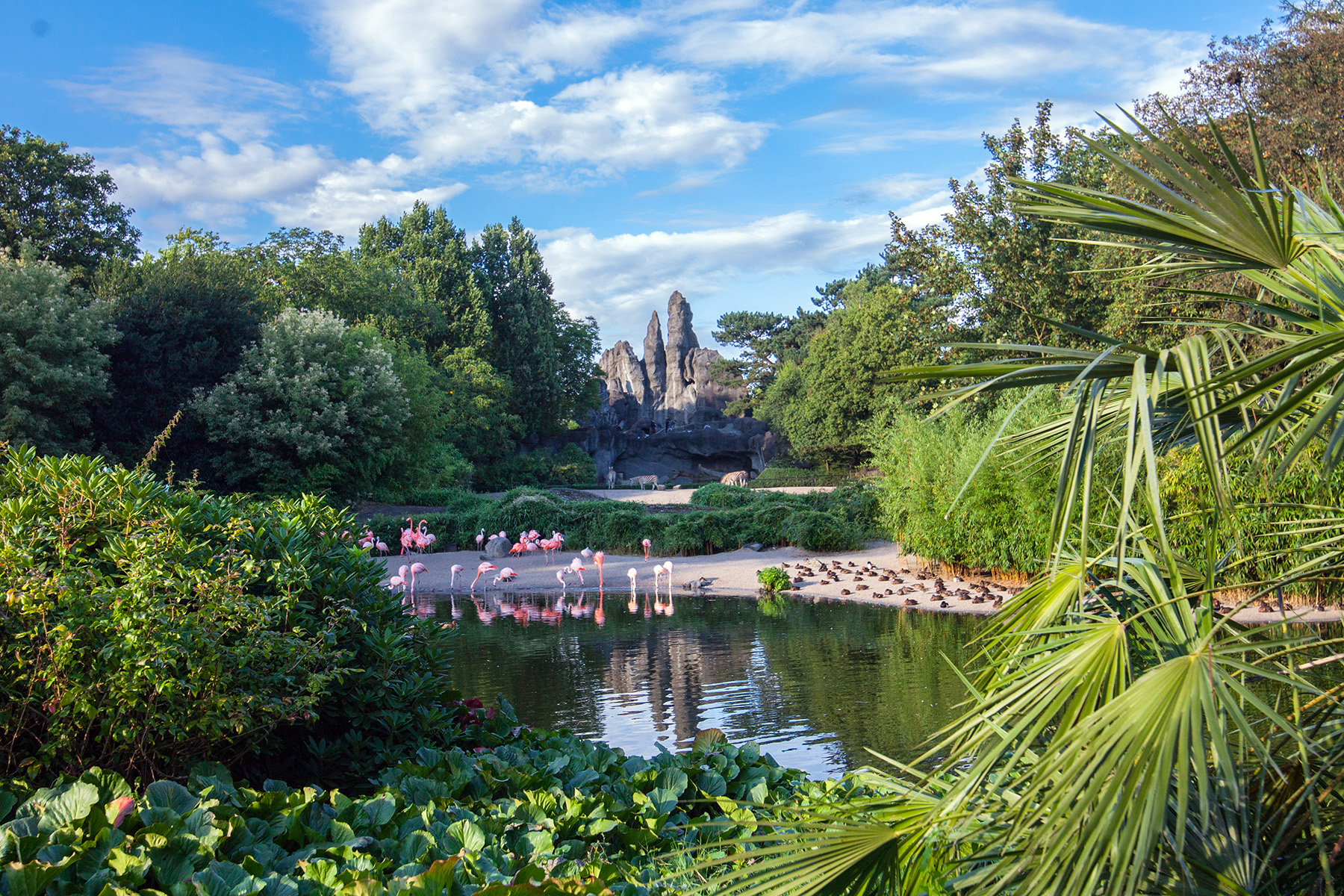 Panorama de l'Afrique au parc animalier Hagenbeck