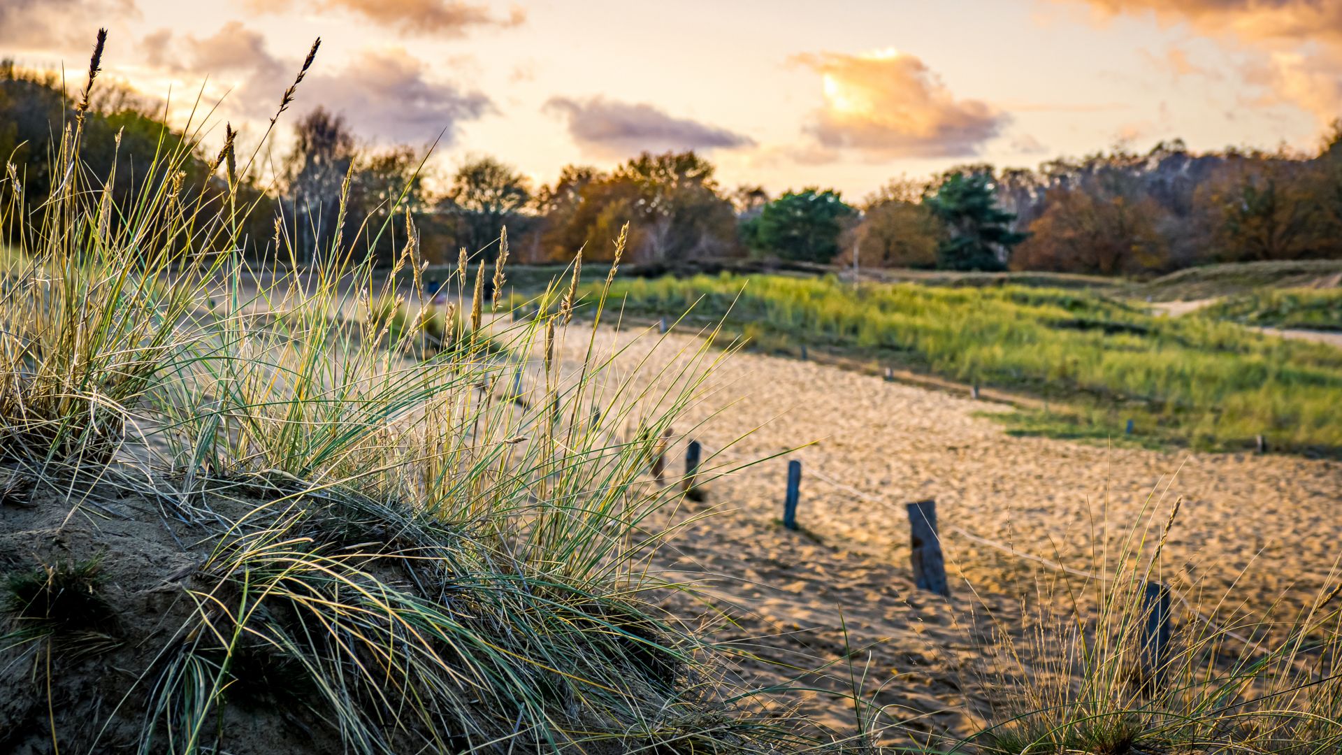 Hambourg: Coucher de soleil dans les dunes de la réserve naturelle de Boberger Niederung