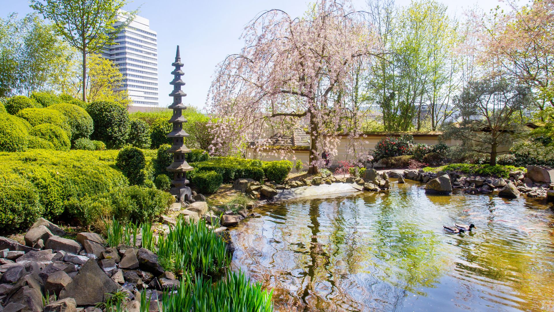 Kaiserslautern: Japanischer Garten