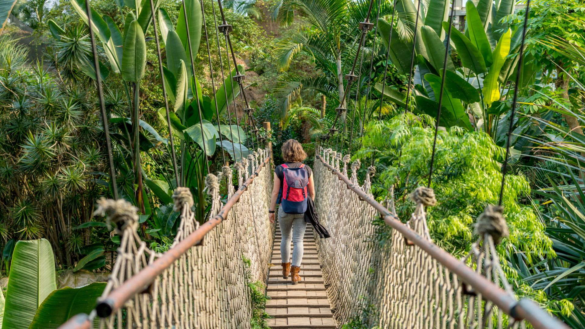 Leipzig: Hängebrücke im tropischem Wald des Leipziger Zoos