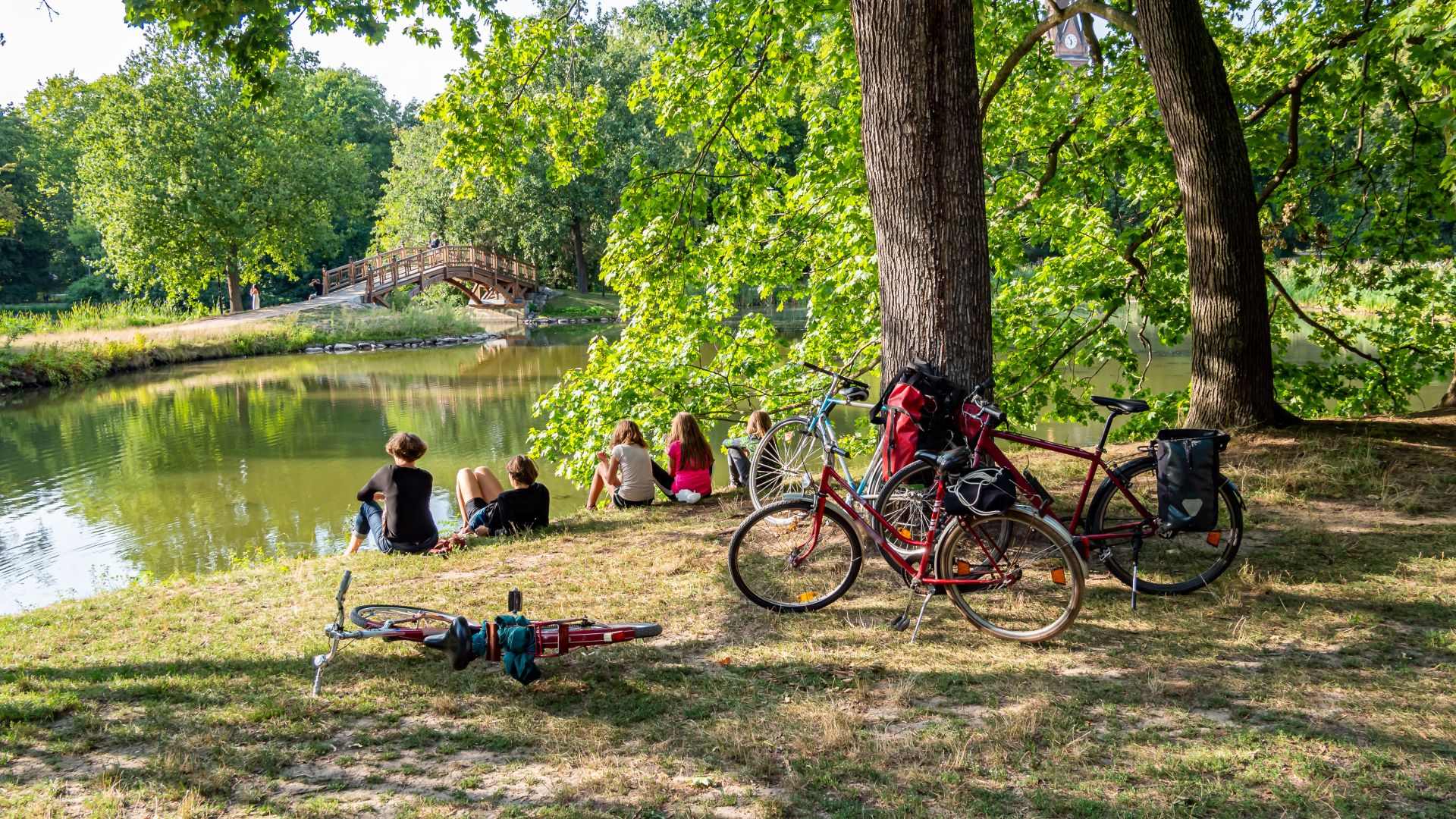 Leipzig: Clara Zetkin Park in summer