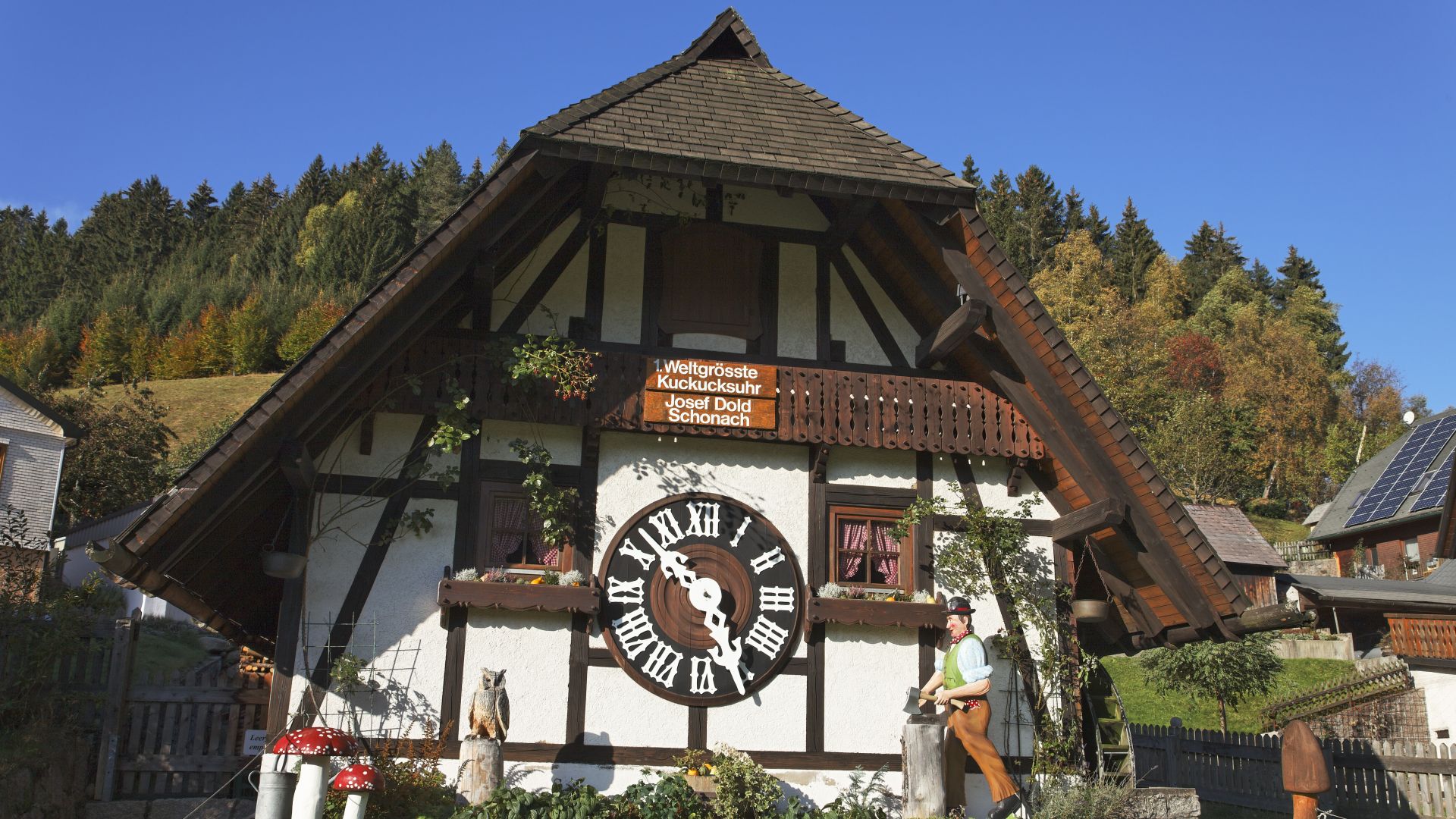 Schonach/Black Forest: The largest cuckoo clock in the world