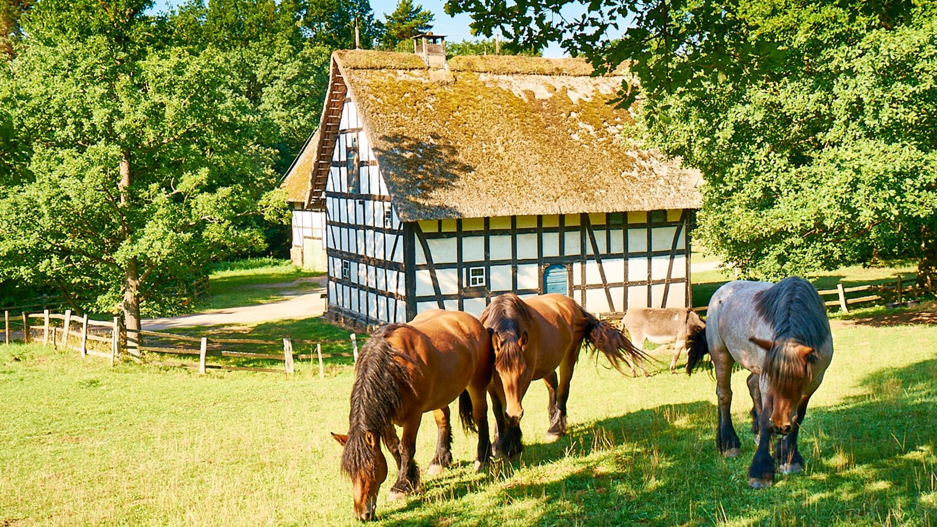 Mechernich: Baugruppe Eifel des LVR-Freilichtmuseums Kommern