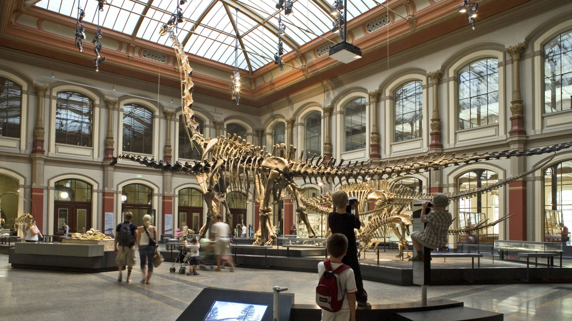 Berlin: Dinosauriersaal im Lichthof des Museum für Naturkunde der Humboldt-Universität