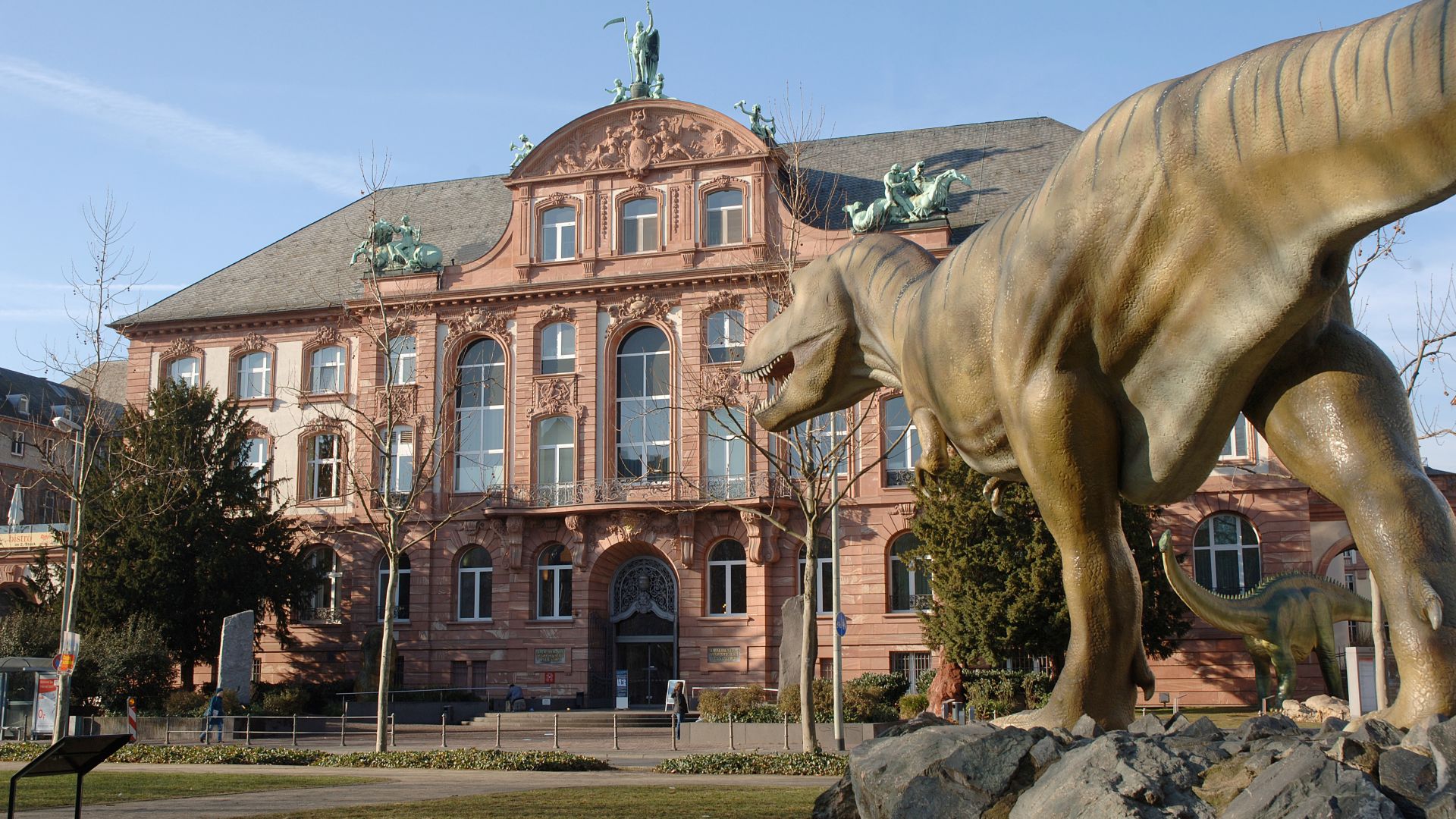 Frankfurt: Senckenberg Naturmuseum