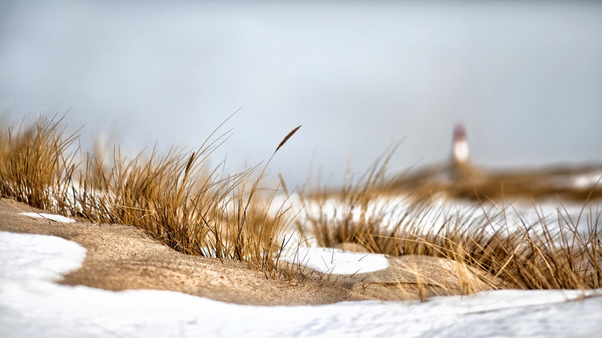 Sylt: Snow-covered dunes in winter