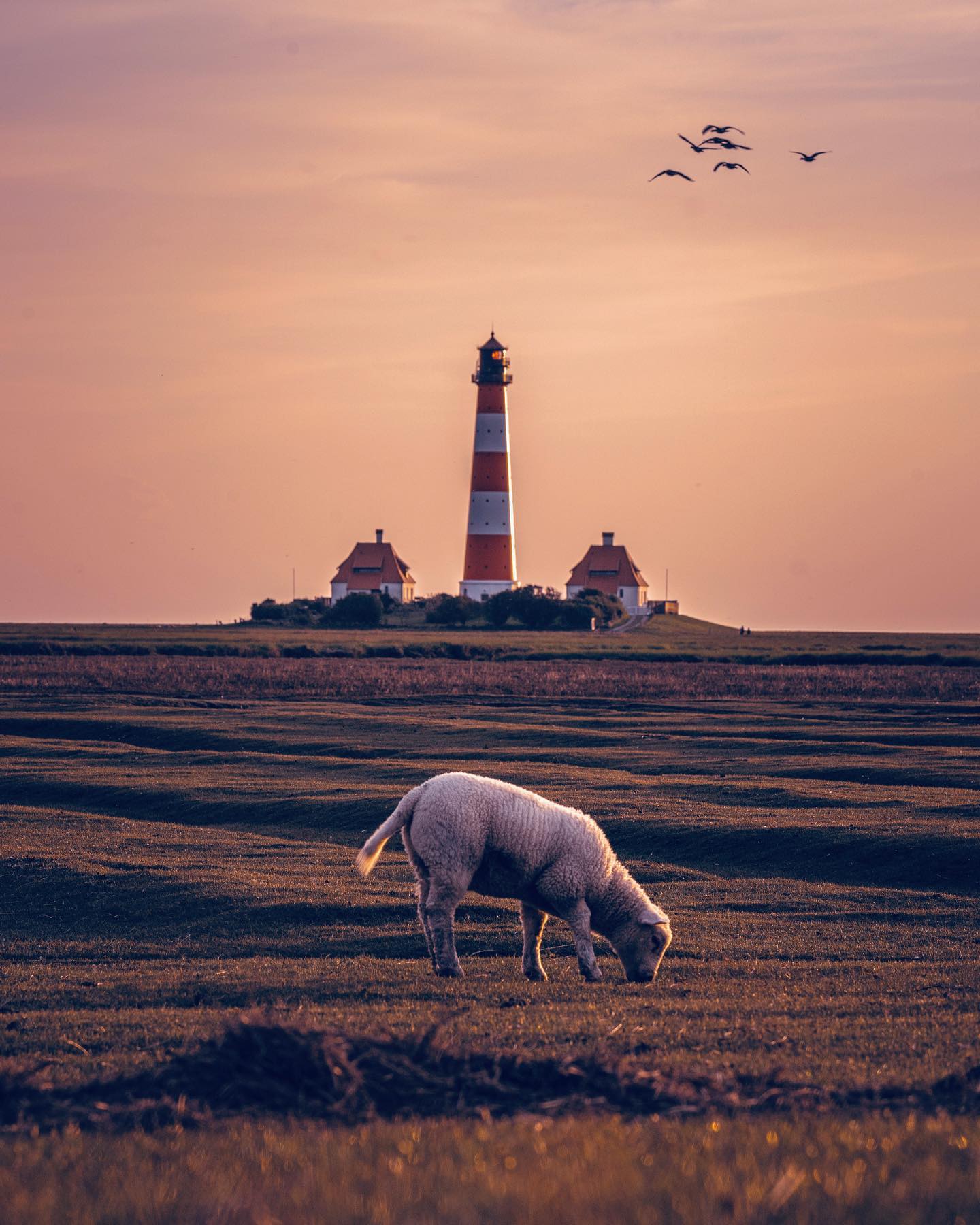 Westerhever Leuchtturm
